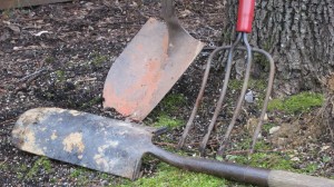 ShovelsIMG_2120